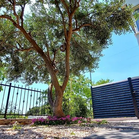 Ankora Appartement